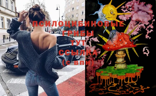 spice Балабаново
