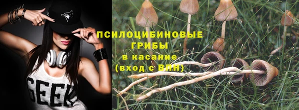 spice Балабаново