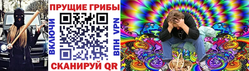 где продают   Гуково  нарко площадка как зайти  Псилоцибиновые грибы прущие грибы 